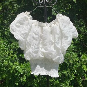White Ruffle Wide Neck Pleated Crop Top Blouse